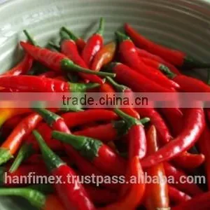 HACCP/HALAL/KOSHER/FDA RED DRY CHILLI thumbnail-1