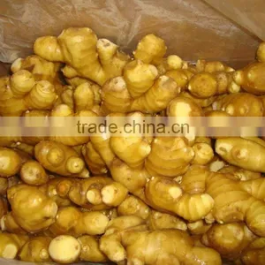 ORGANIC FRESH GINGER VIETNAM FOR GINGER SLICES thumbnail-6