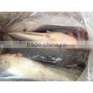Frozen Vietnam Catfish Wholesale thumbnail-1