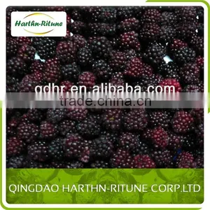 Sweet Frozen Blackberry thumbnail-4