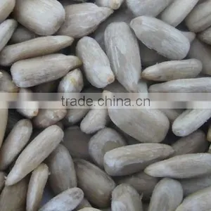 Sunflower Kernel Chips thumbnail-1