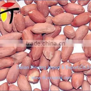 Wholesale Crispy Roasted Peanuts in Red Skin thumbnail-1