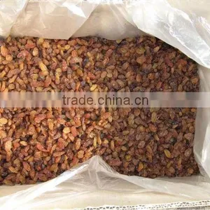 Dried Fruit Raisin Sultana thumbnail-1