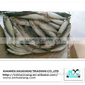 Mackerel Fish Price thumbnail-1