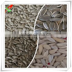 Hulled Sunflower Seed Kernels Bakery Grade thumbnail-2