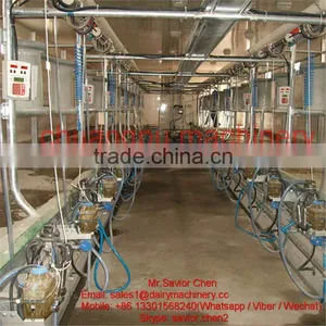 Dairy Farm Electronic Milking Parlor System For Cow thumbnail-4