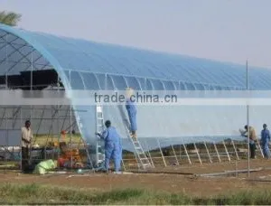 Tunnel Greenhouse thumbnail-4