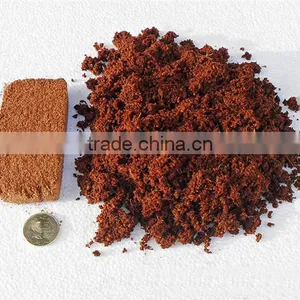 1500 kg per Hour Factory Price Coco Peat Dryer/coir Fibre Dryer Machine for Sale thumbnail-4