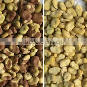 2016 High Accuracy Professional Grain Ccoffee Bean Sorting Machine For Coffee,Cocoa,Bean,Wheat thumbnail-5