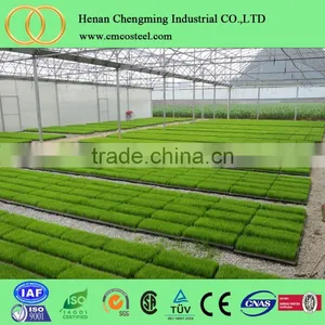 Large Size Grow Tent / Greenhouses for Vegetables Used Greenhouse for Vegetable Used Polycarbonate thumbnail-6