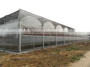 High Quality Commercial/agricultural Used Film Covering Greenhouse for Sale thumbnail-3