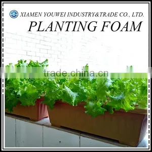 Plant Foam Manufacturing Plant Flower Plant thumbnail-1