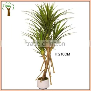 Huge Artificial Pandanus Plant With Roots for Indoor Display thumbnail-1
