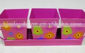 Rectangular Herb Planter Set on a Tray thumbnail-1