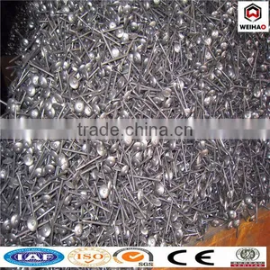 1.5 Inch Umbrella Head Roofing Nail thumbnail-1