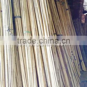 Natural Dry Bamboo Canes Poles Sticks for Gardening SUPPORTING thumbnail-2