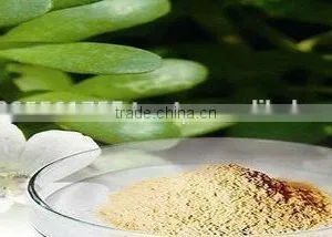 BACOPA DRY EXTRACT thumbnail-1