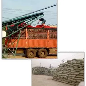 Huitong Planting And Breeding Professional Cooperative company overview - view 2 thumbnail