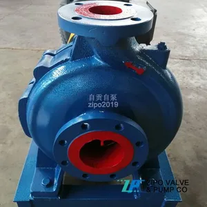 ZIPO ZIS or ZIR Horizontal Single Stage Single Suction Centrifugal Pump Clean Water Pump thumbnail-2