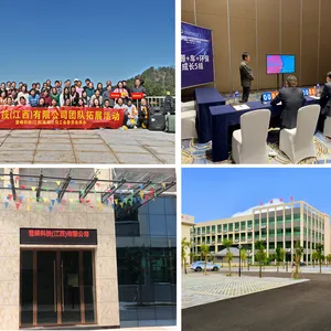 Dengfeng Technology (Jiangxi) Co., Ltd. company overview - view 2 thumbnail