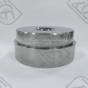 Tungsten Carbide Die thumbnail-1