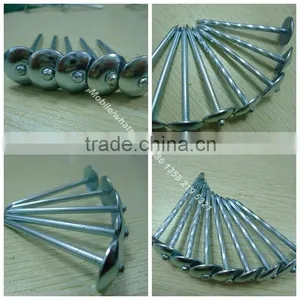China 1 Lb. Electro Galvanized Roof Nail thumbnail-1