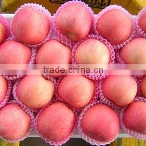 Fresh Fuji Apple Fruit thumbnail-1