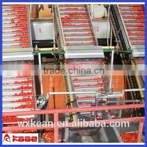 Turn Key Solution Concentrate Fruit Juice Processing Production Line thumbnail-1