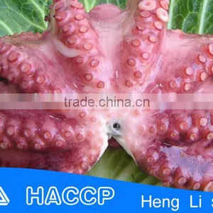 Fishing Octopus for Sale thumbnail-1