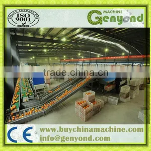 Fruit Photoelectronic Grading Line thumbnail-5