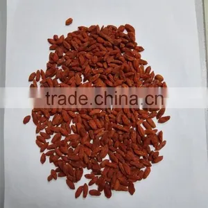 Organic Gojiberry Grade B thumbnail-2
