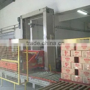 Case Palletizer thumbnail-1