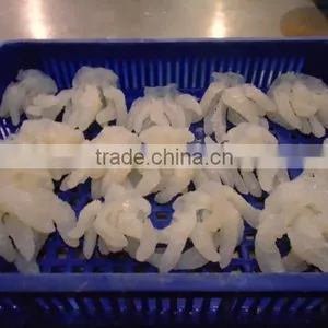 SALTED JELLY FISH thumbnail-3