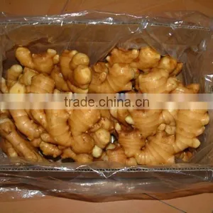 Washed Ginger thumbnail-1