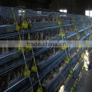 Galvanized Wire Mesh Layer Quail Cage Wholesale thumbnail-2