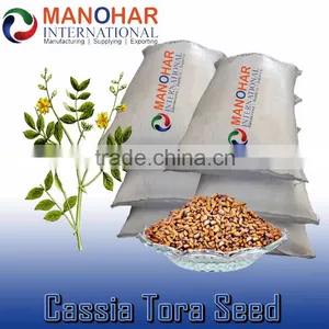 Best Jue Ming Zi in Chinese Cassia Tora Seed, Cassia Tora Seeds thumbnail-2