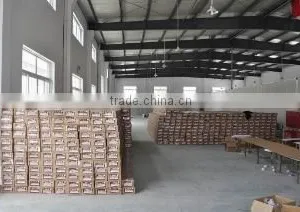 Haining Yafa Packing Technology Co., Ltd. company overview - view 2 thumbnail