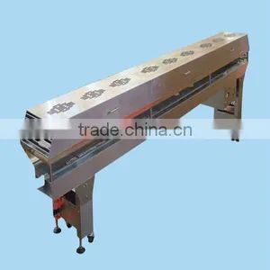 Conveyor for Conveying Foods thumbnail-1