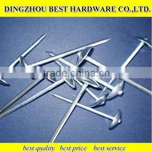 Galvanized Umbrella Roofing Nail thumbnail-1