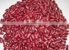Small Size Red Kidney Bean thumbnail-1