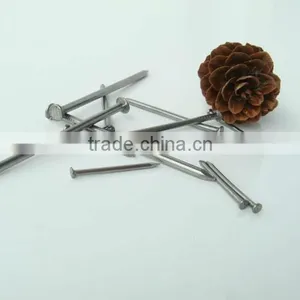 Polished Round Common Nails thumbnail-1
