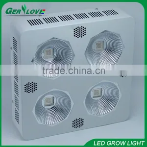 Gerylove Factory Directe Sale Cob Led Grow Light Full Spectrum Cob 300watt Led Plant Growth Light With 2 Years Warranty thumbnail-1