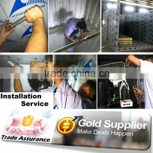 Koller Cold Room Fixed Inside 20 GP 40 GP/HQ Container thumbnail-4