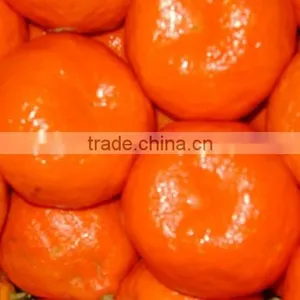 Fresh Mandarin thumbnail-2