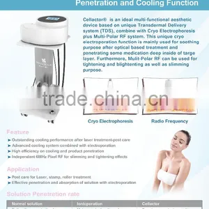 Cellactor Ice Facial Anti-wrinkle Dermolift RF Cryo Meso Therapy Cryo Electroporation Multi-fuction Beauty Machine thumbnail-1