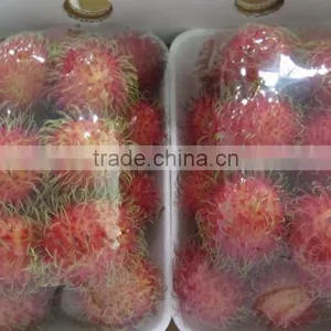 Fresh Rambutan Best Price and High Quality From Vietnam thumbnail-1