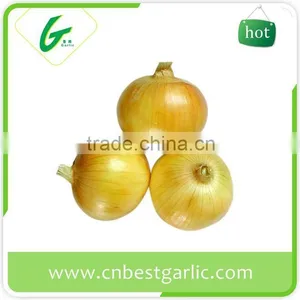 Importers of Dehydrated Fresh Onion thumbnail-5