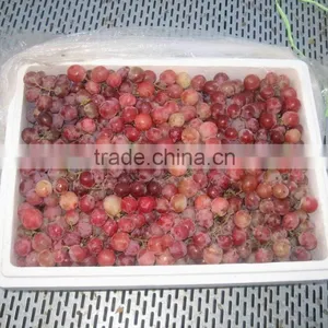 Red Globe Grape thumbnail-1