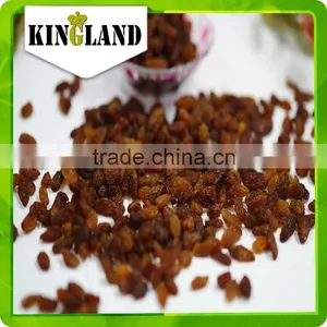 Latest Dried Fruits Seedless Red Sultana Raisins thumbnail-2