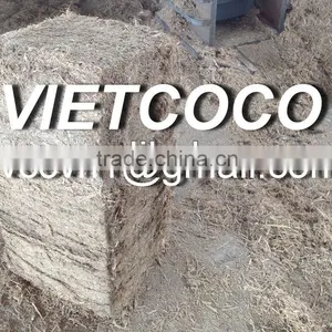 Bagasse thumbnail-1